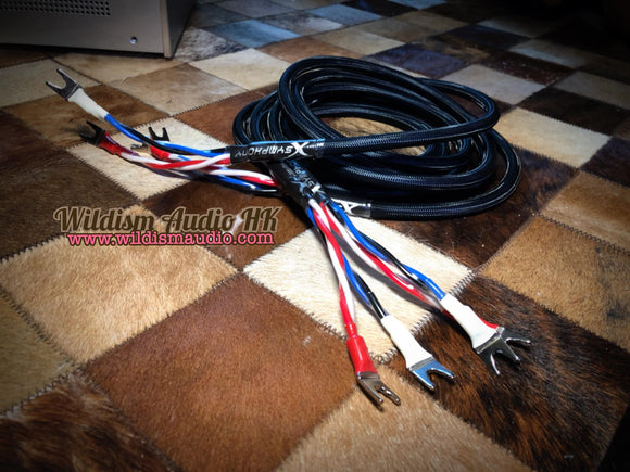 Xsymphony SP-100 7N 螺旋結構方芯 OFC + 多芯 喇叭線