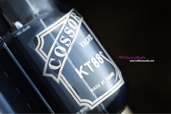 Psvane 貴族之聲代工 英國COSSOR KT88 電子管 最新碳晶二代技術